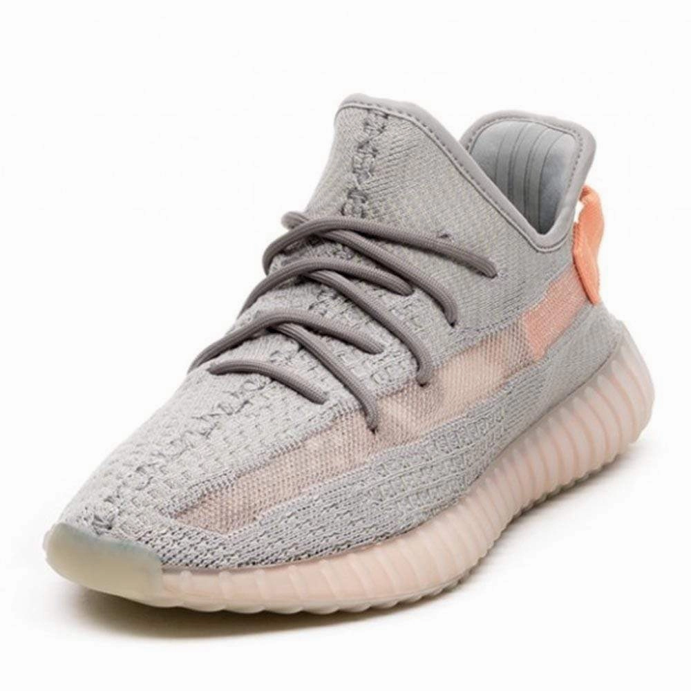 adidas Yeezy Boost 350 V2 True Form Boost 350 Sneakers