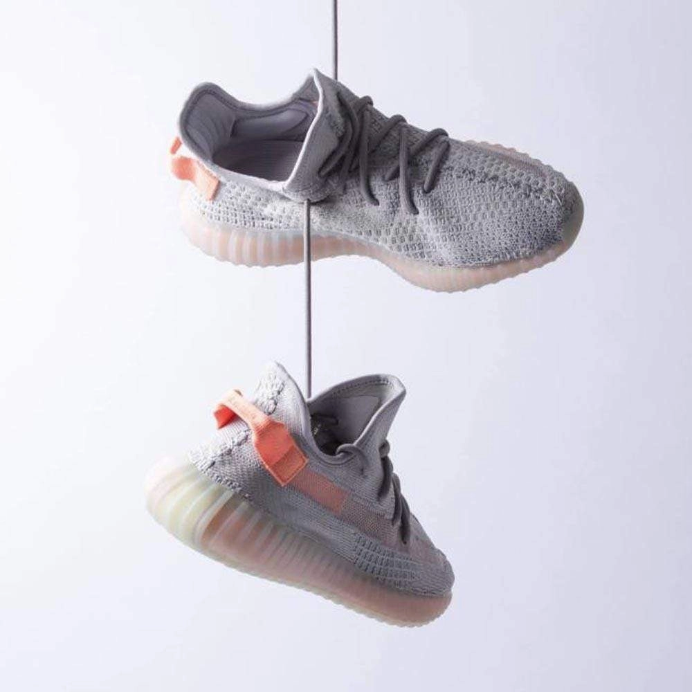 adidas Yeezy Boost 350 V2 True Form Boost 350 Sneakers