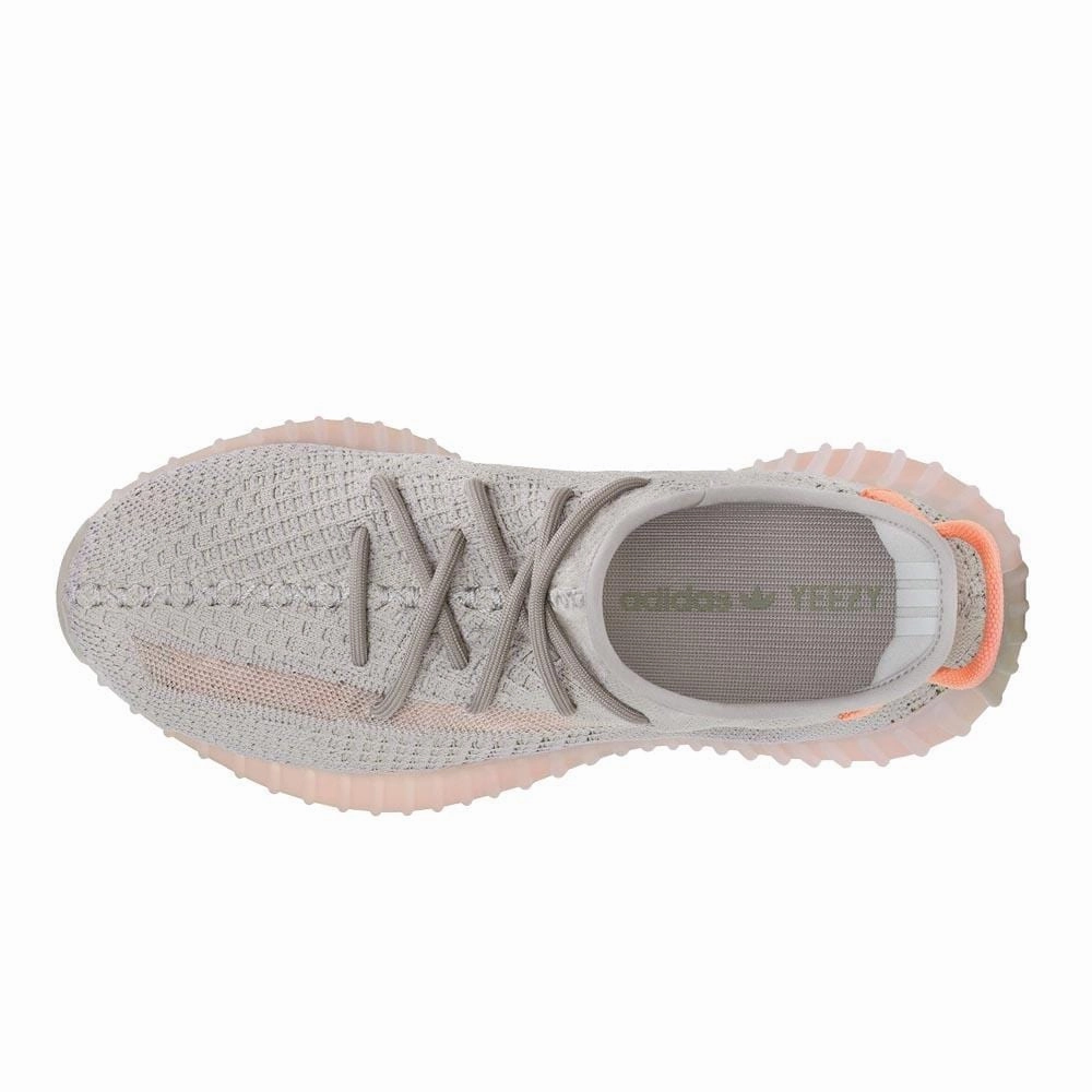 adidas Yeezy Boost 350 V2 True Form Boost 350 Sneakers