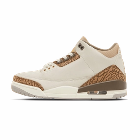 Air Jordan 3 Retro GS 'Palomino' Air Jordan 3 street-ready sneakers
