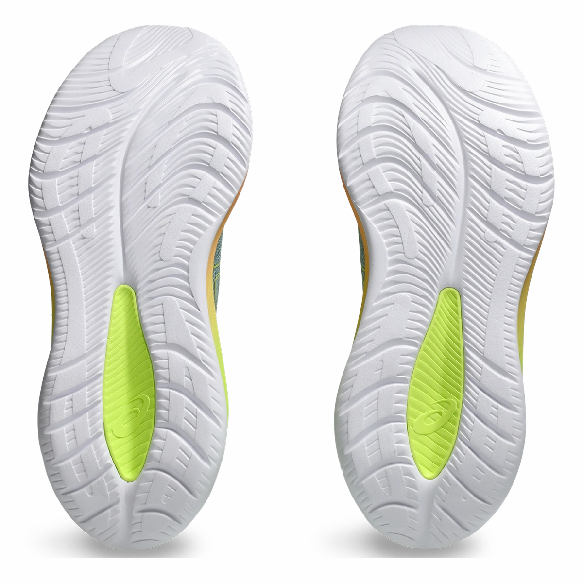 Asics Gel Cumulus 26 Paris Asics neutral running shoes