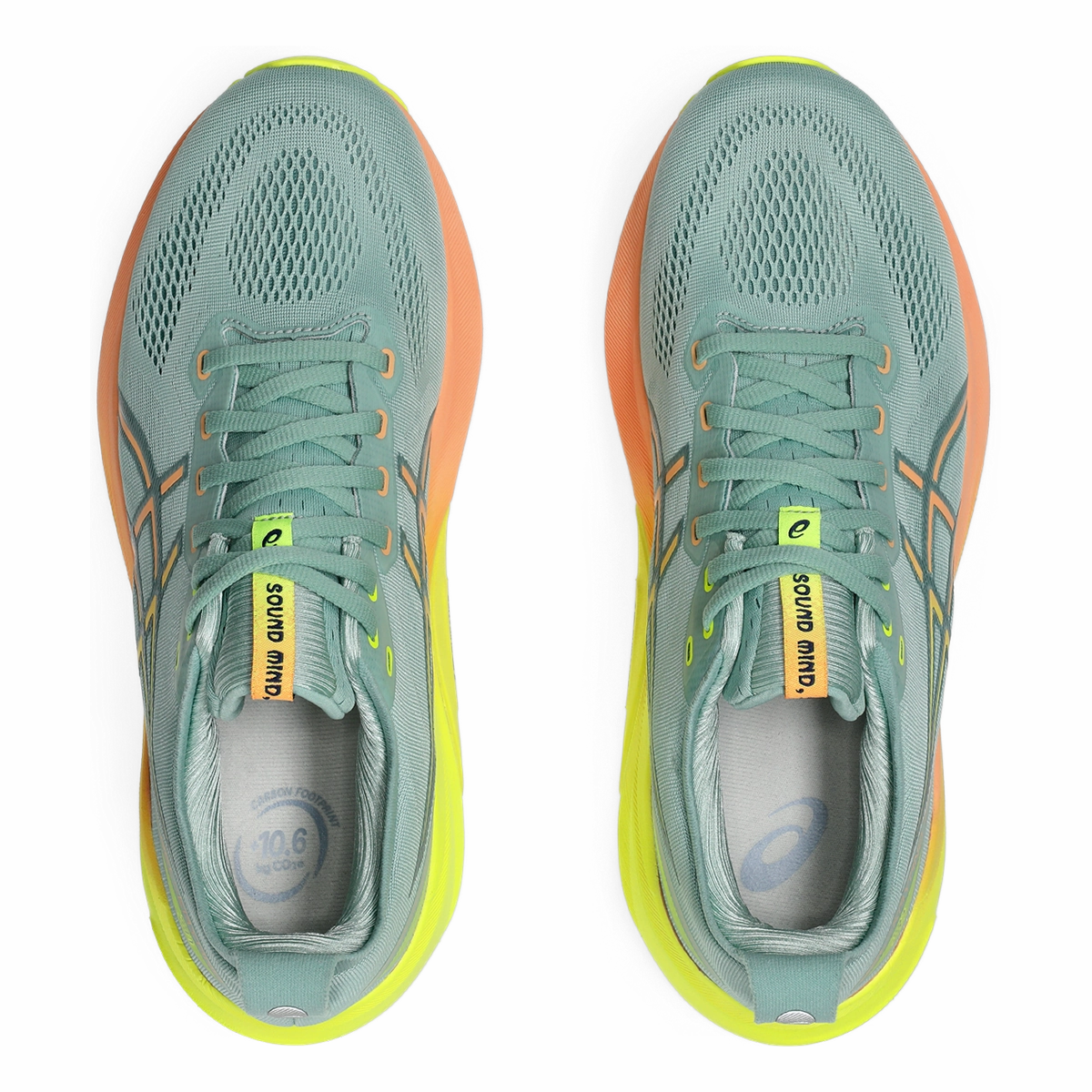 Asics Gel Kayano 31 Paris Asics neutral running shoes