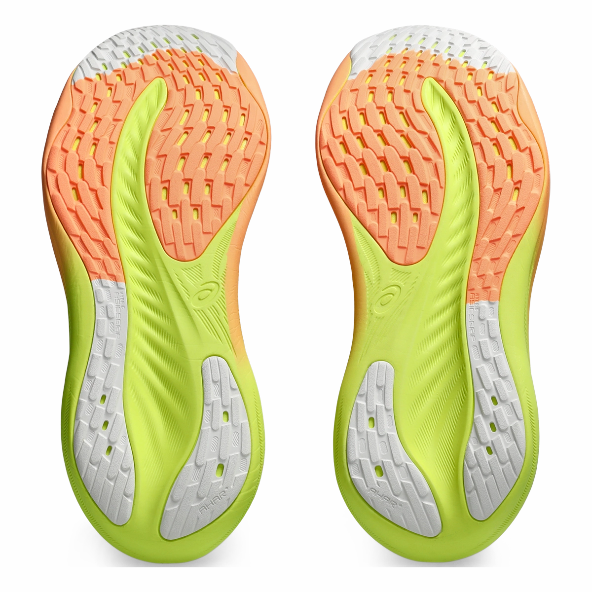 Asics Gel Nimbus 26 Paris Asics neutral running shoes