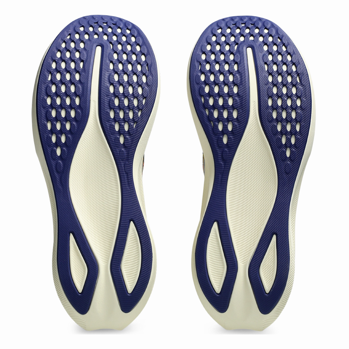 Asics Noosa Tri 16 Asics neutral running shoes