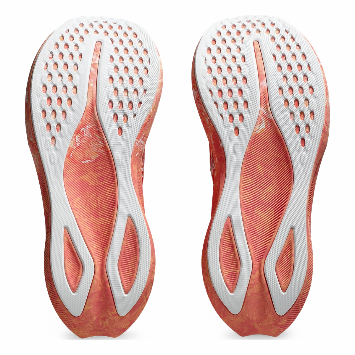 Asics Noosa Tri 16 Asics neutral running shoes