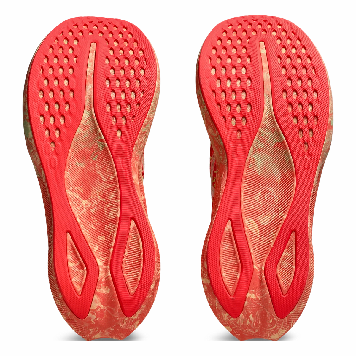 Asics Noosa Tri 16 Asics neutral running shoes