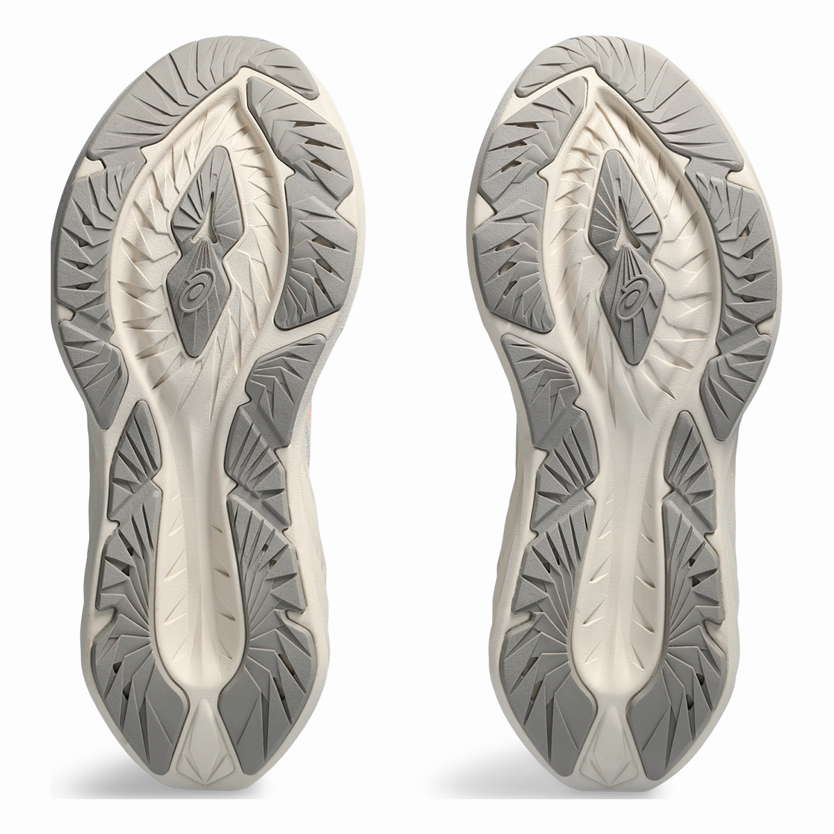 Asics Novablast 4 - Oatmeal - Moonrock Cushioned running sneakers