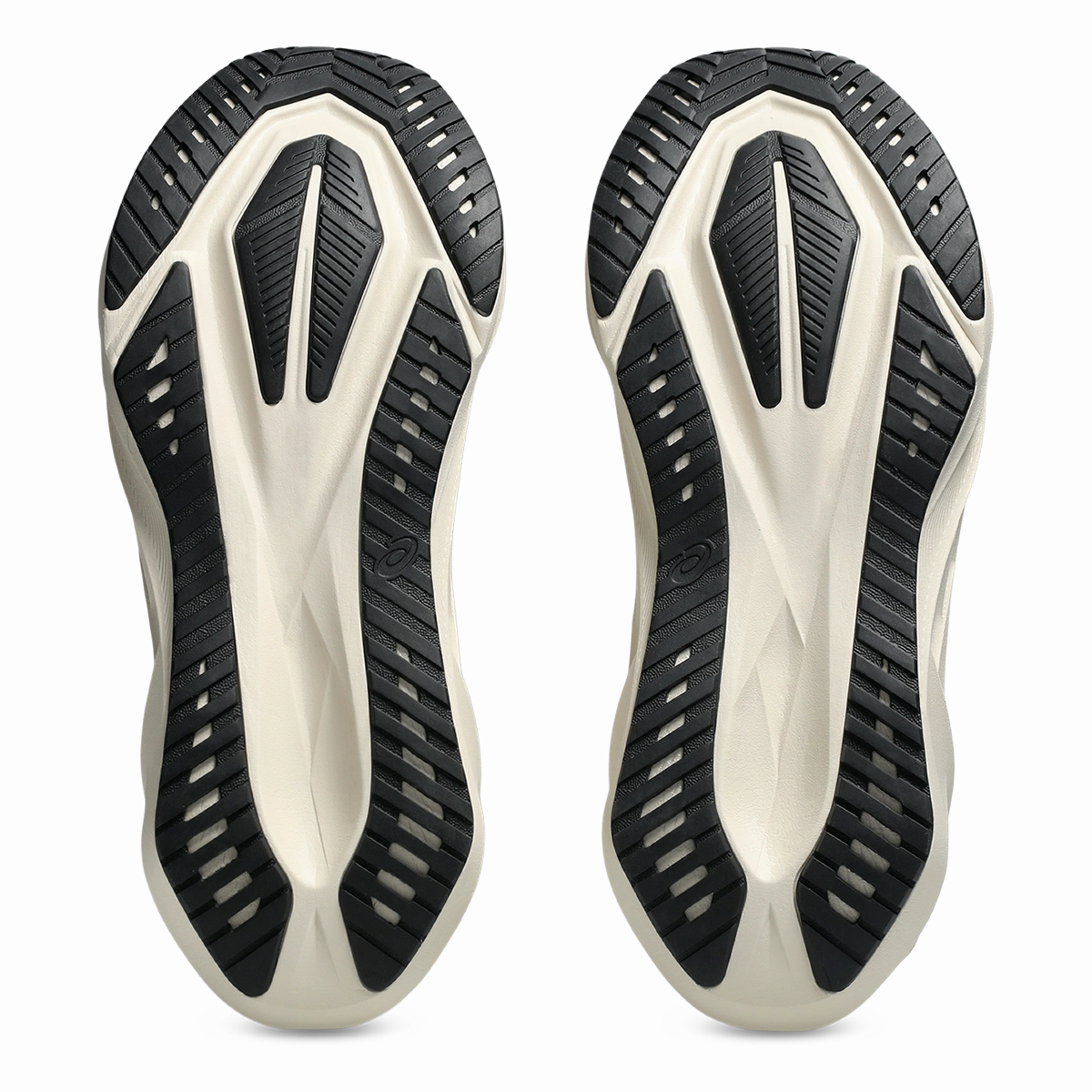 Asics Novablast 5 Oatmeal - Black Asics neutral running shoes
