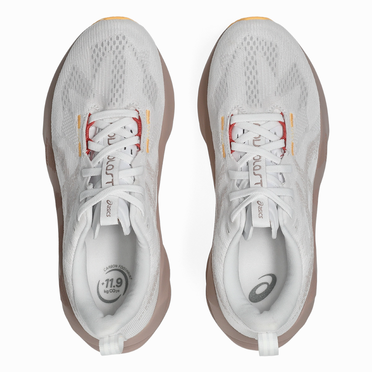 Asics Novablast 5 White - Fawn Cushioned running sneakers