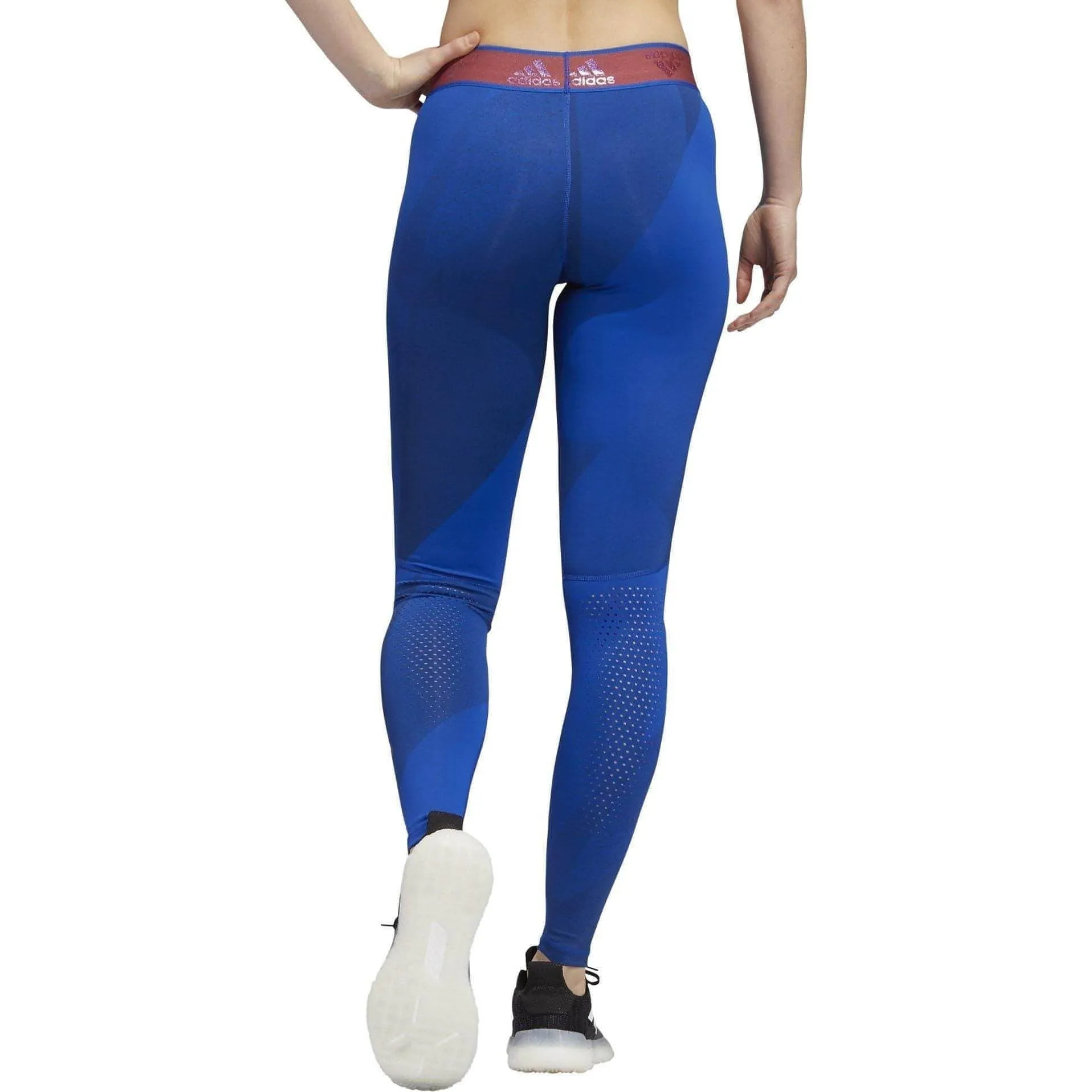 Clothing Adidas  Women adidas AlphaSkin Graphic Womens Long Training Tights - Blue