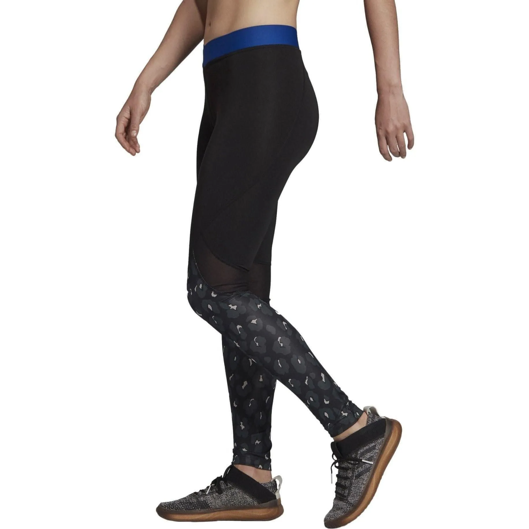 Clothing Adidas  Women adidas AlphaSkin Iteration Womens Long Training Tights - Black