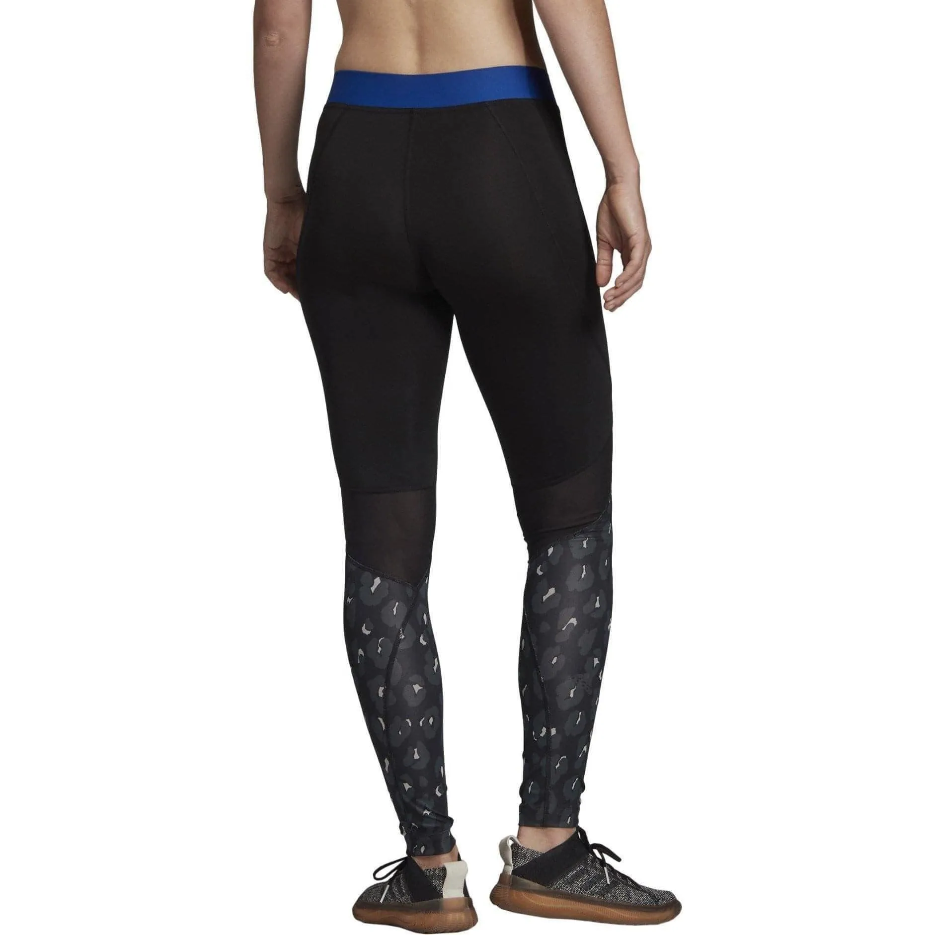 Clothing Adidas  Women adidas AlphaSkin Iteration Womens Long Training Tights - Black