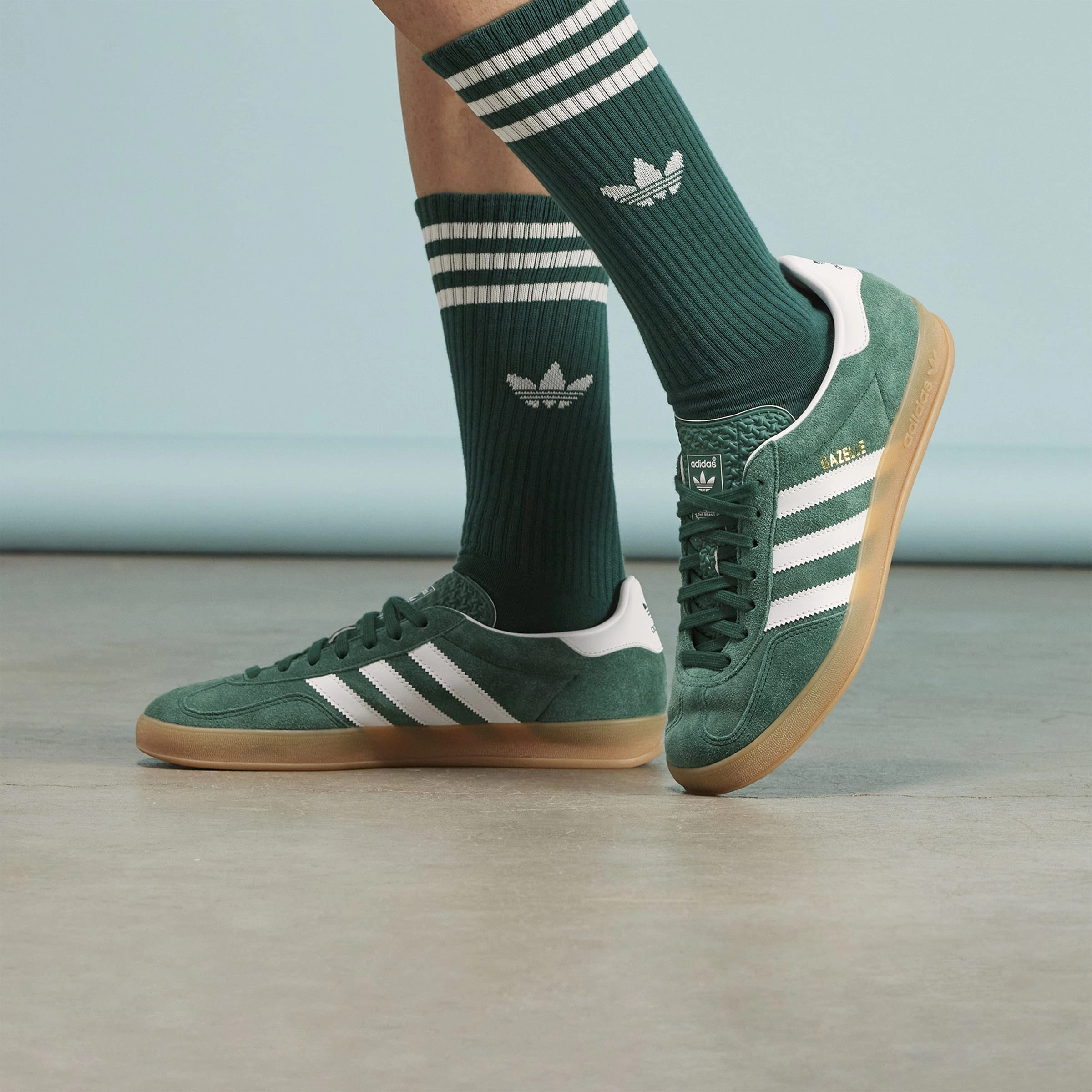 Gazelle Indoor All-around lifestyle footwear