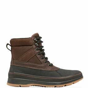 Sorel