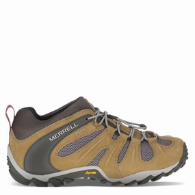 MEN'S CHAM 8 STRETCH WTPF Performance running sneakers
