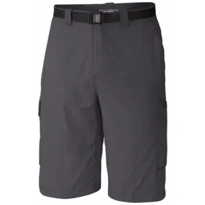 Men's Silver Ridge Cargo Shorts 10" Asics Shoes
