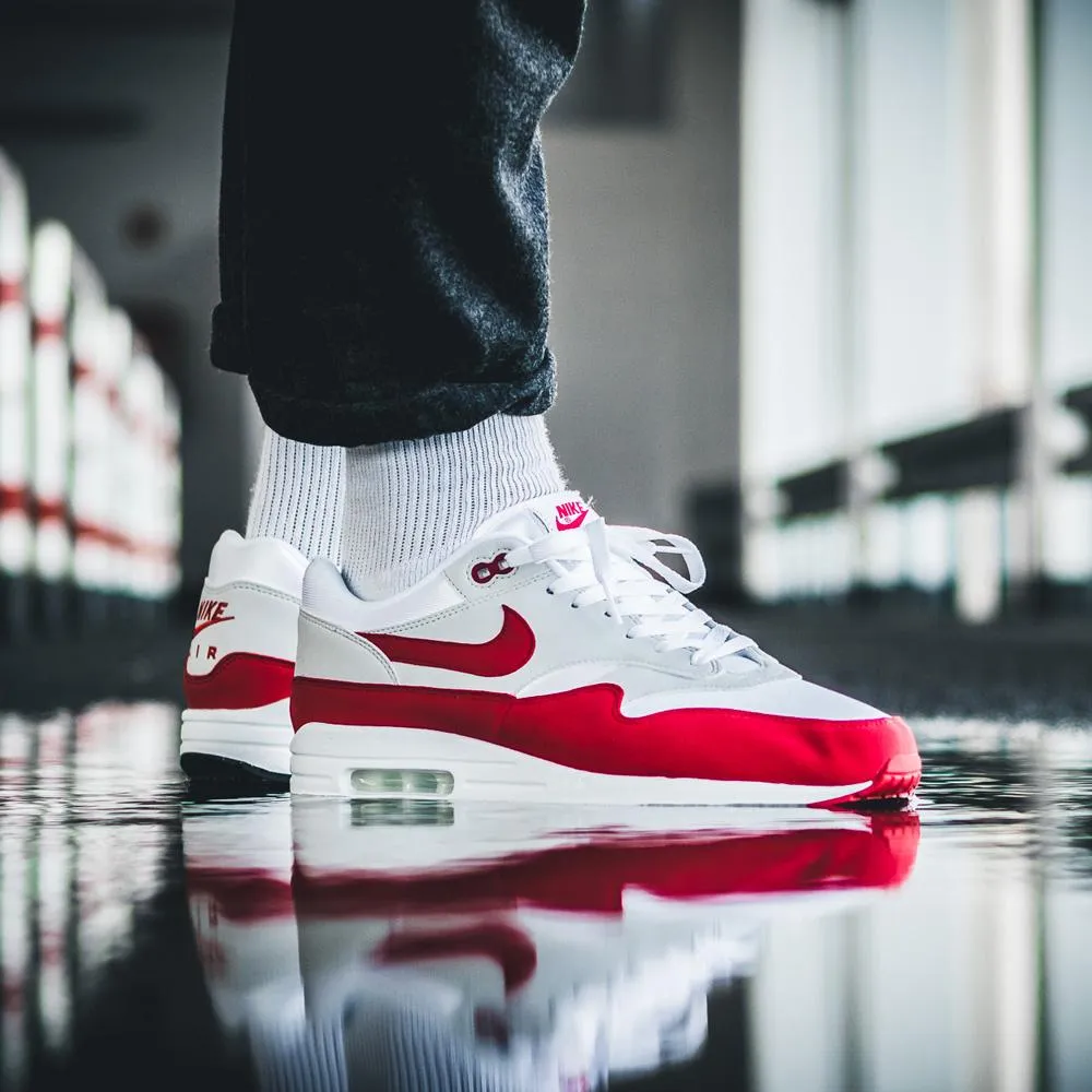 Nike Air Max 1 OG Anniversary 2017 Release Nike Max Plus series