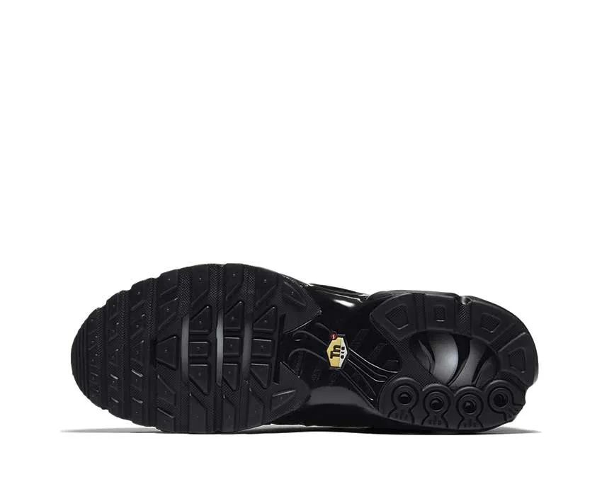 Nike Air Max Plus Black Nike Max Plus edition