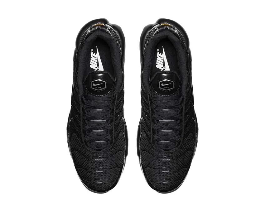 Nike Air Max Plus Black Nike Max Plus edition