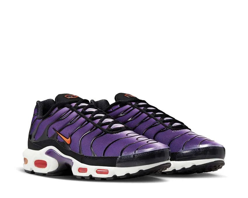 Nike Air Max Plus OG Nike Max Plus edition