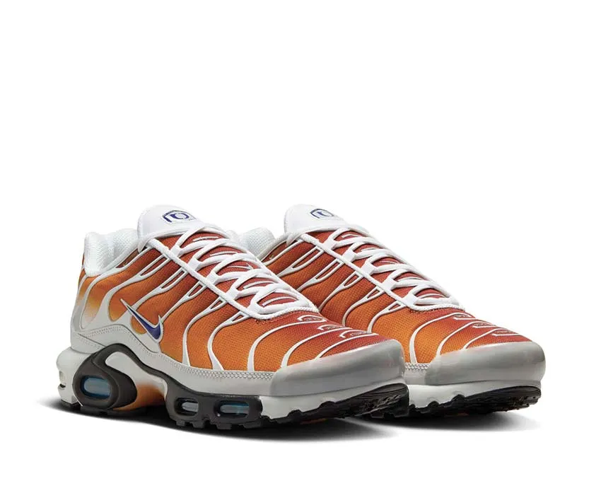 Nike Air Max Plus One Black Down "Reverse" Nike Max Plus edition