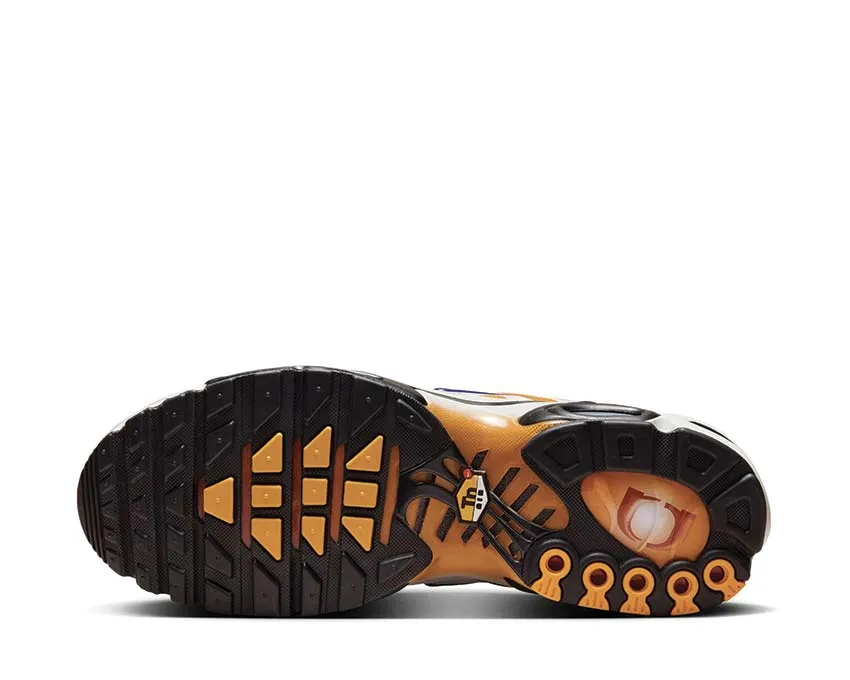 Nike Air Max Plus One Black Down "Reverse" Nike Max Plus edition