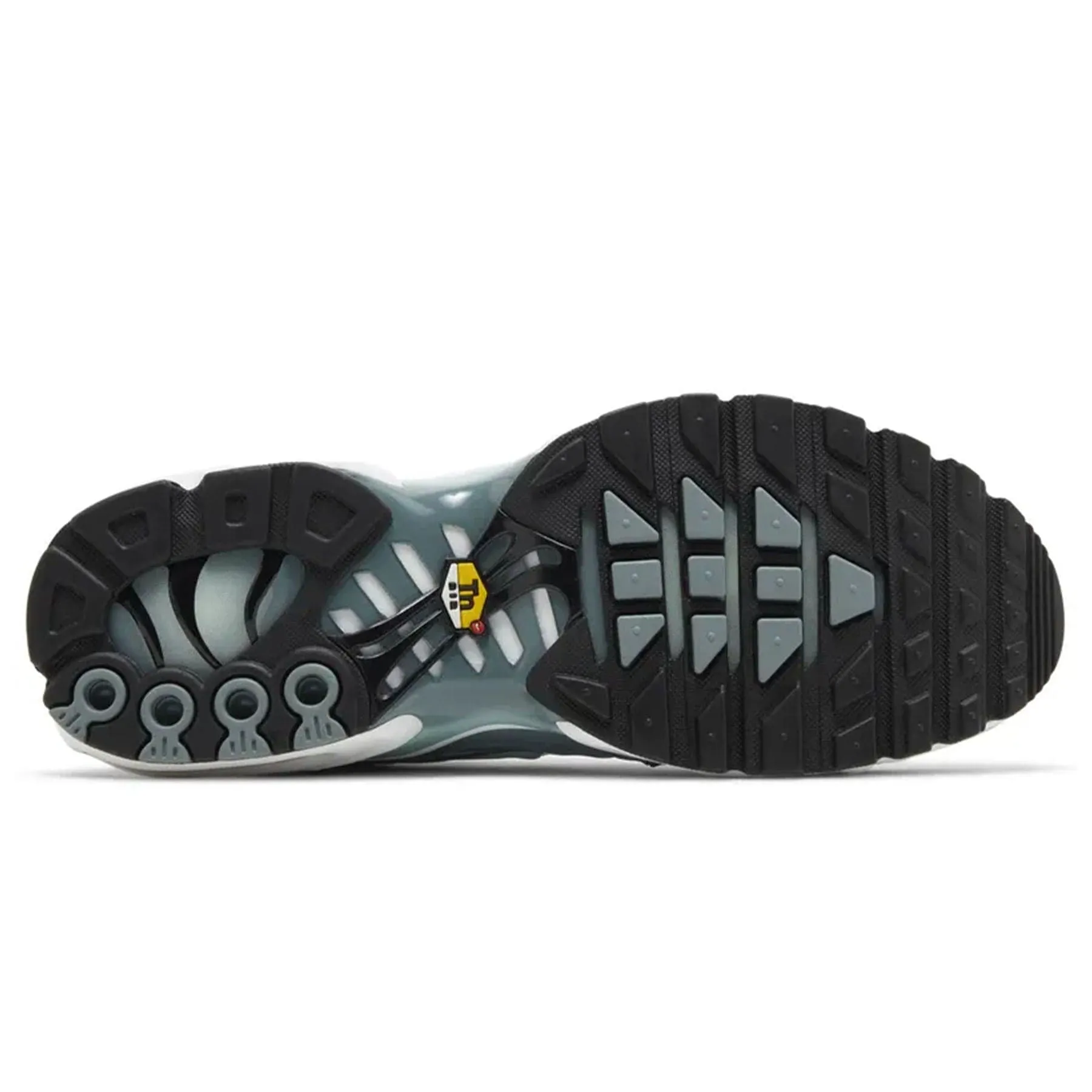 Nike Air Max Plus 'Palm Pack - Waterway' Nike Air Max running sneakers