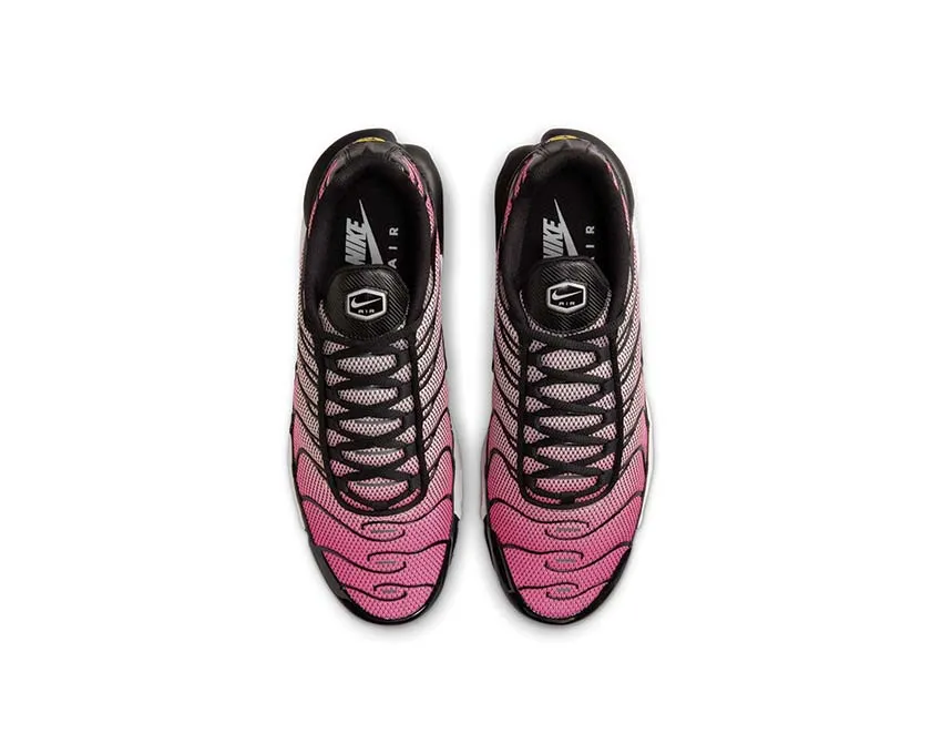 Nike Air Max Plus "All Day" Nike Max Plus edition