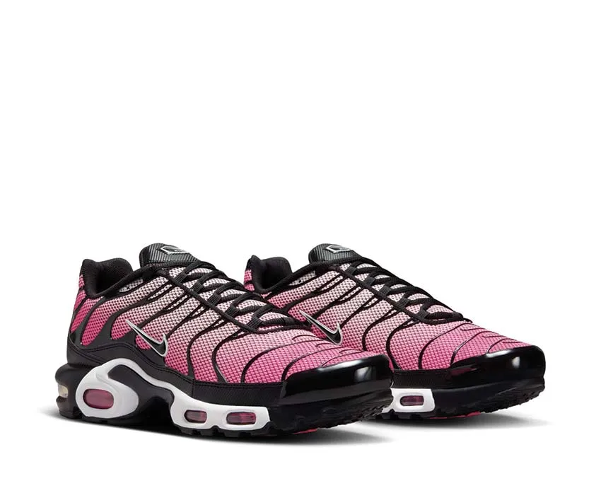 Nike Air Max Plus "All Day" Nike Max Plus edition