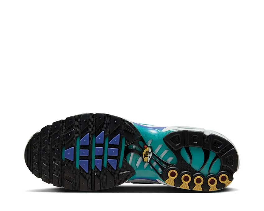 Nike Air Max Plus "Aqua" Nike Max Plus edition
