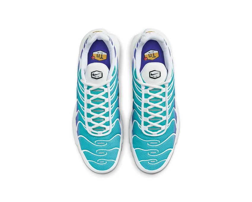 Nike Air Max Plus "Aqua" Nike Max Plus edition