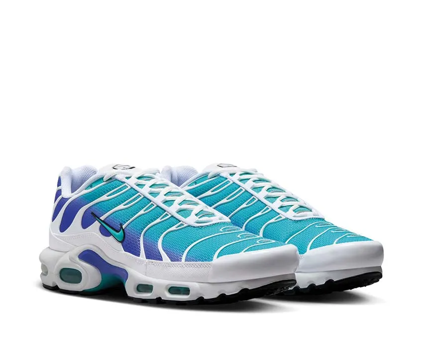 Nike Air Max Plus "Aqua" Nike Max Plus edition