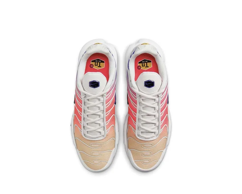 Nike Air Max Plus "Gradient" Nike Max Plus edition