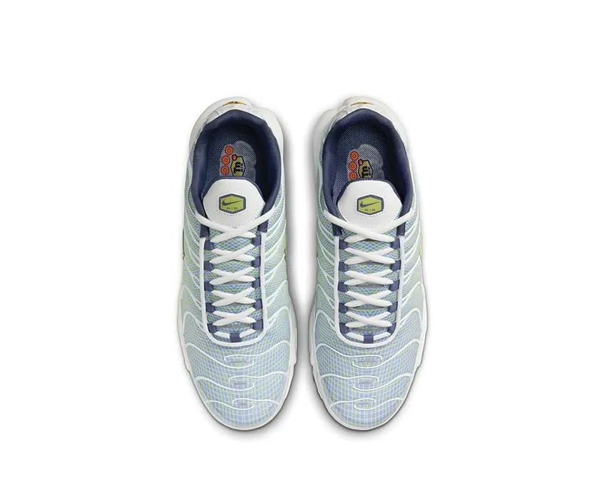 Nike Air Max Plus "Pebble Grey" Nike Max Plus edition