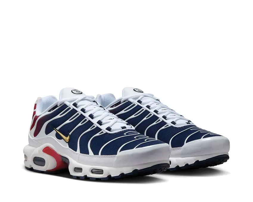 Nike Air Max Plus "PSG" Nike Max Plus edition