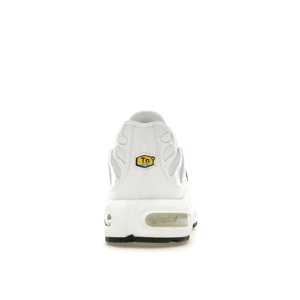 Nike Air Max Plus Summer Gradient Tn Max Plus