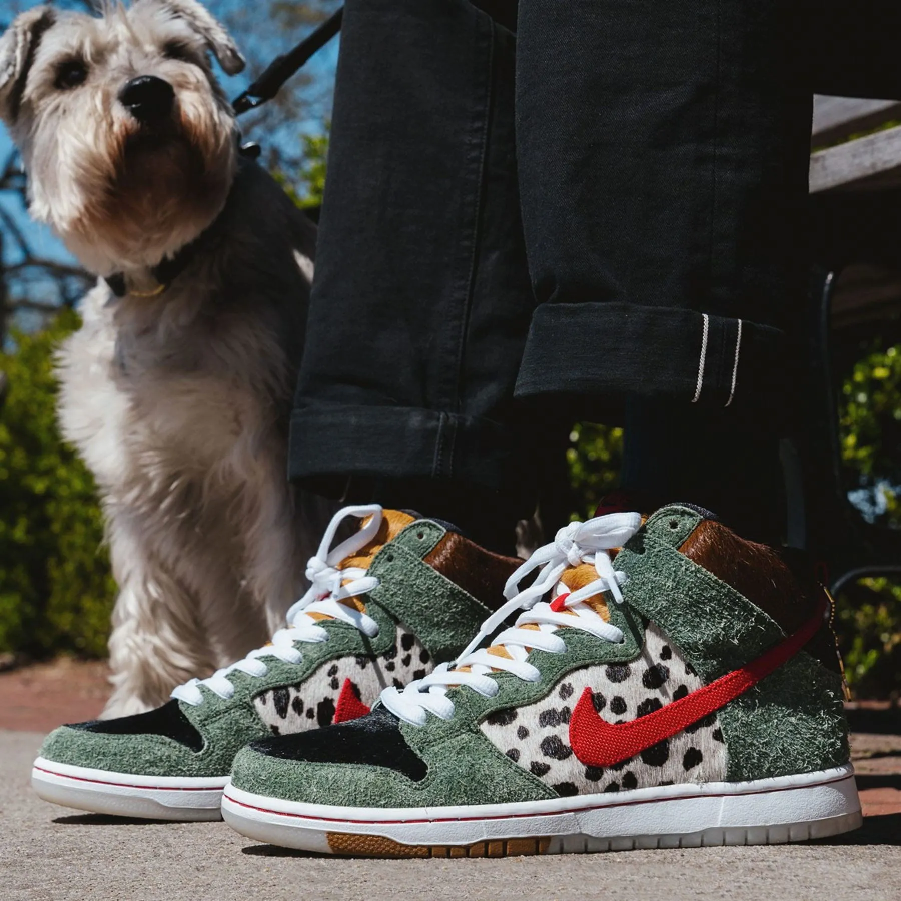Nike Dunk High SB 'Walk The Dog' Nike SB skateboarding shoes