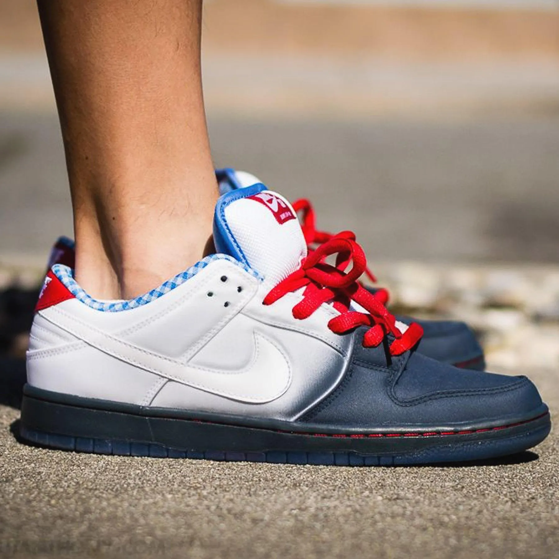 Nike Dunk Low Premium SB 'Dorothy' Nike SB skateboarding shoes