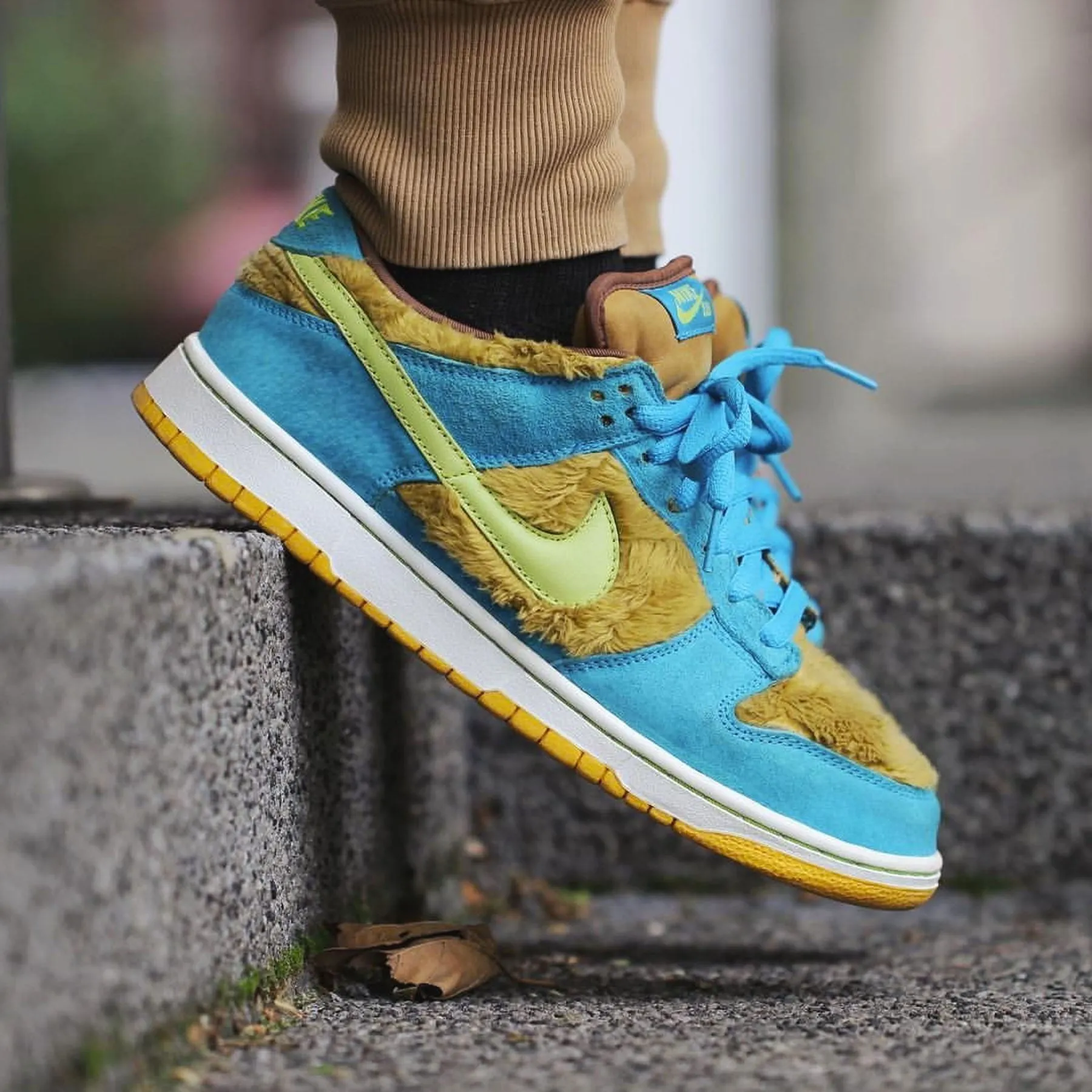 Nike Dunk Low Premium SB 'Three Bears' Nike SB skateboarding shoes
