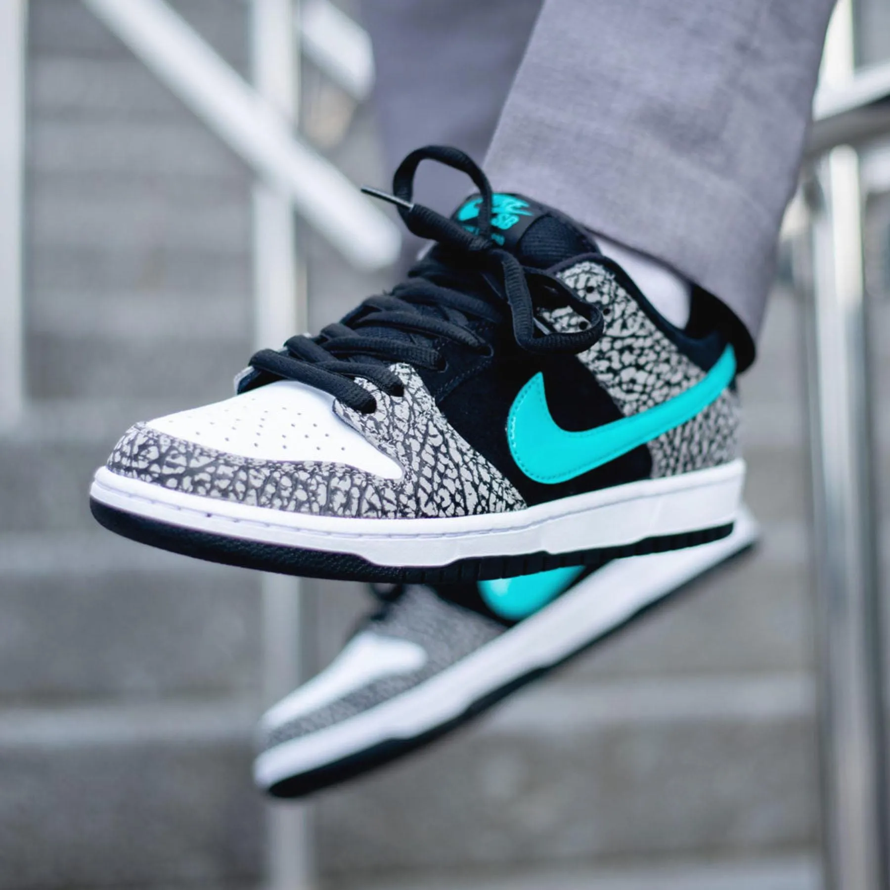 Nike Dunk Low Pro SB 'Atmos Elephant' Nike SB skateboarding shoes