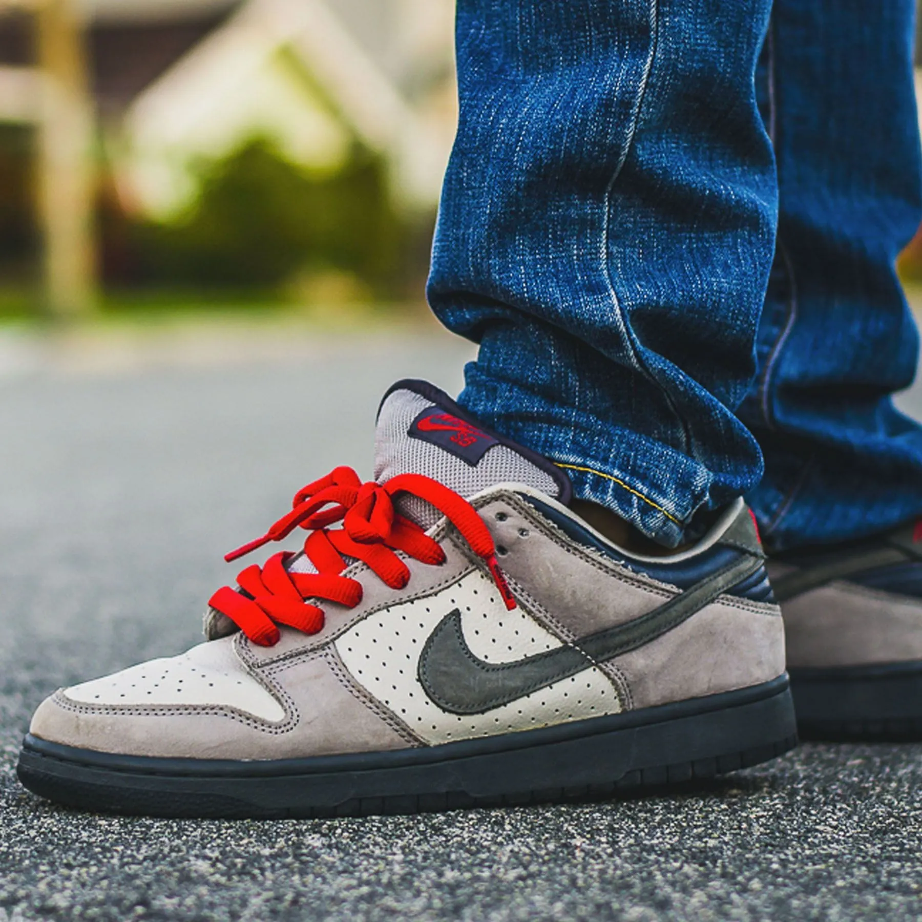 Nike Dunk Low Pro SB 'Band Aid' Nike SB skateboarding shoes