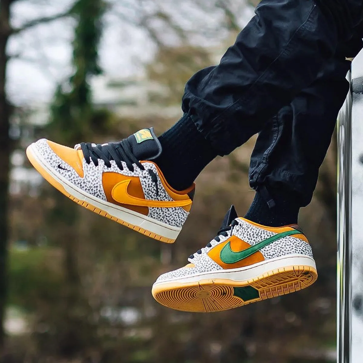 Nike Dunk Low Pro SB 'Safari' Nike SB skateboarding shoes