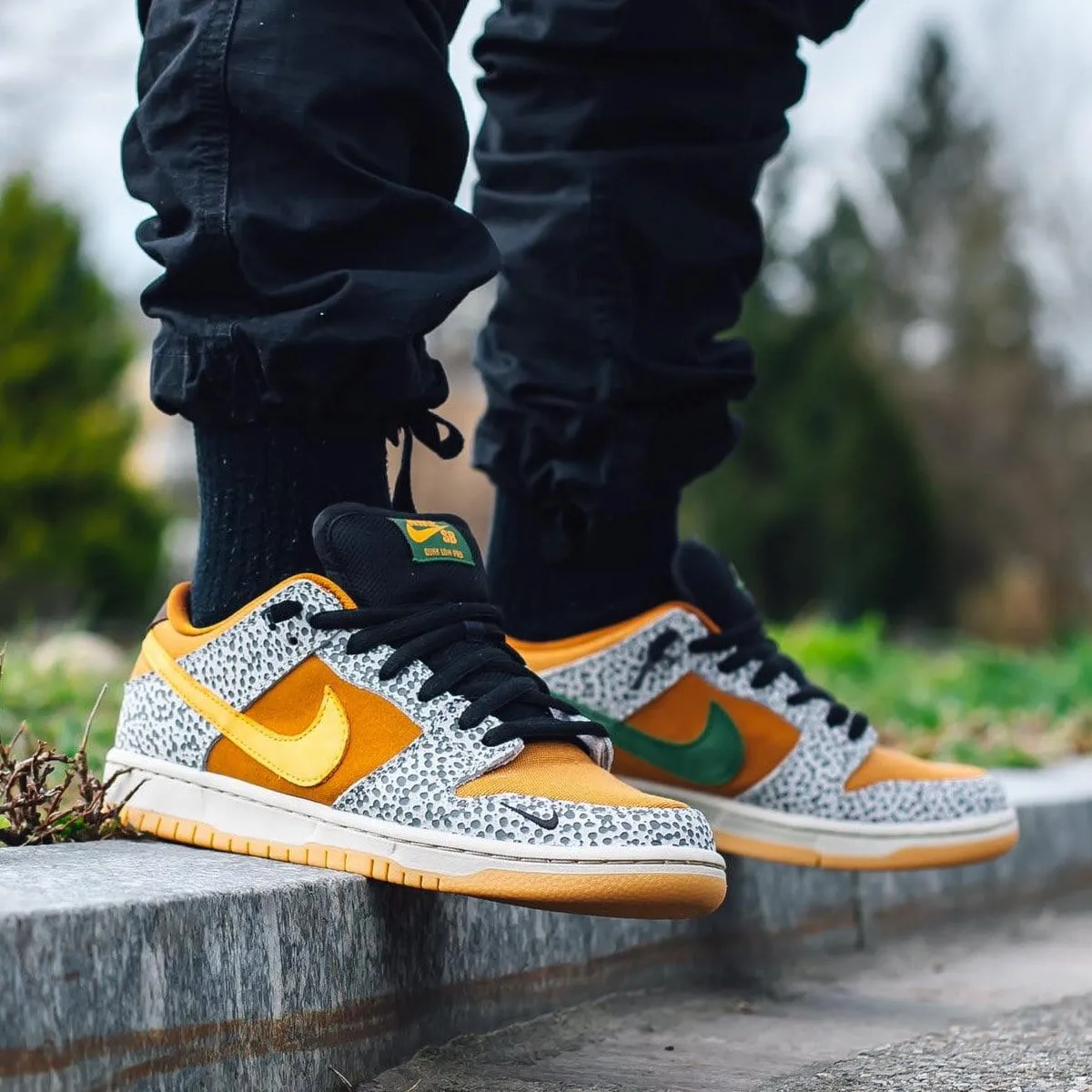 Nike Dunk Low Pro SB 'Safari' Nike SB skateboarding shoes