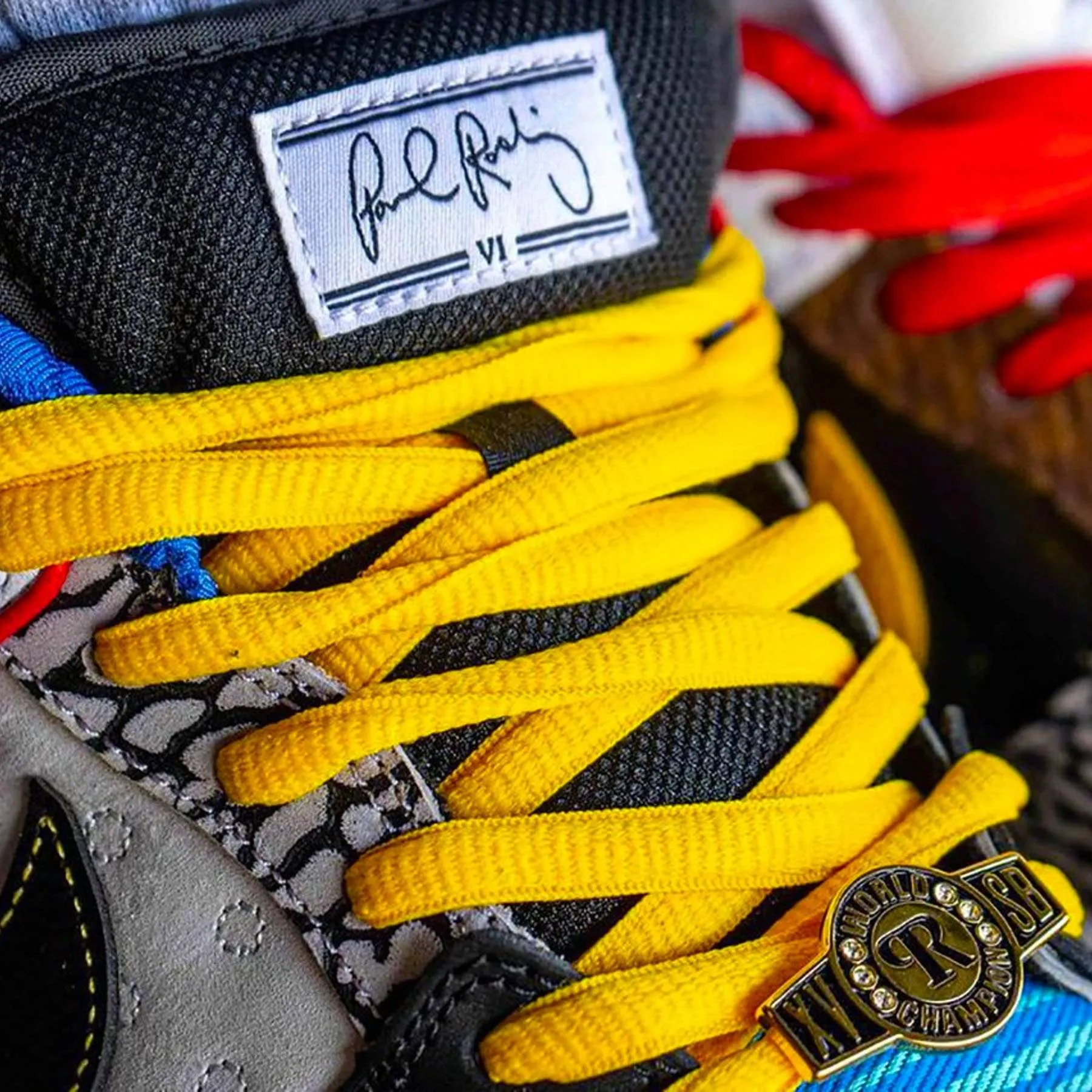 Nike Dunk Low SB 'What The Paul' Nike SB skateboarding shoes