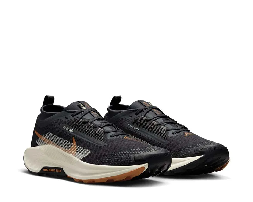 Nike Pegasus Trail 5 GTX Nike running shoes