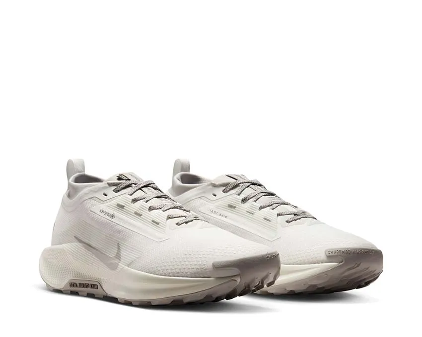 Nike ReactX Pegasus Trail 5 GTX SP "Light Bone" Nike running shoes