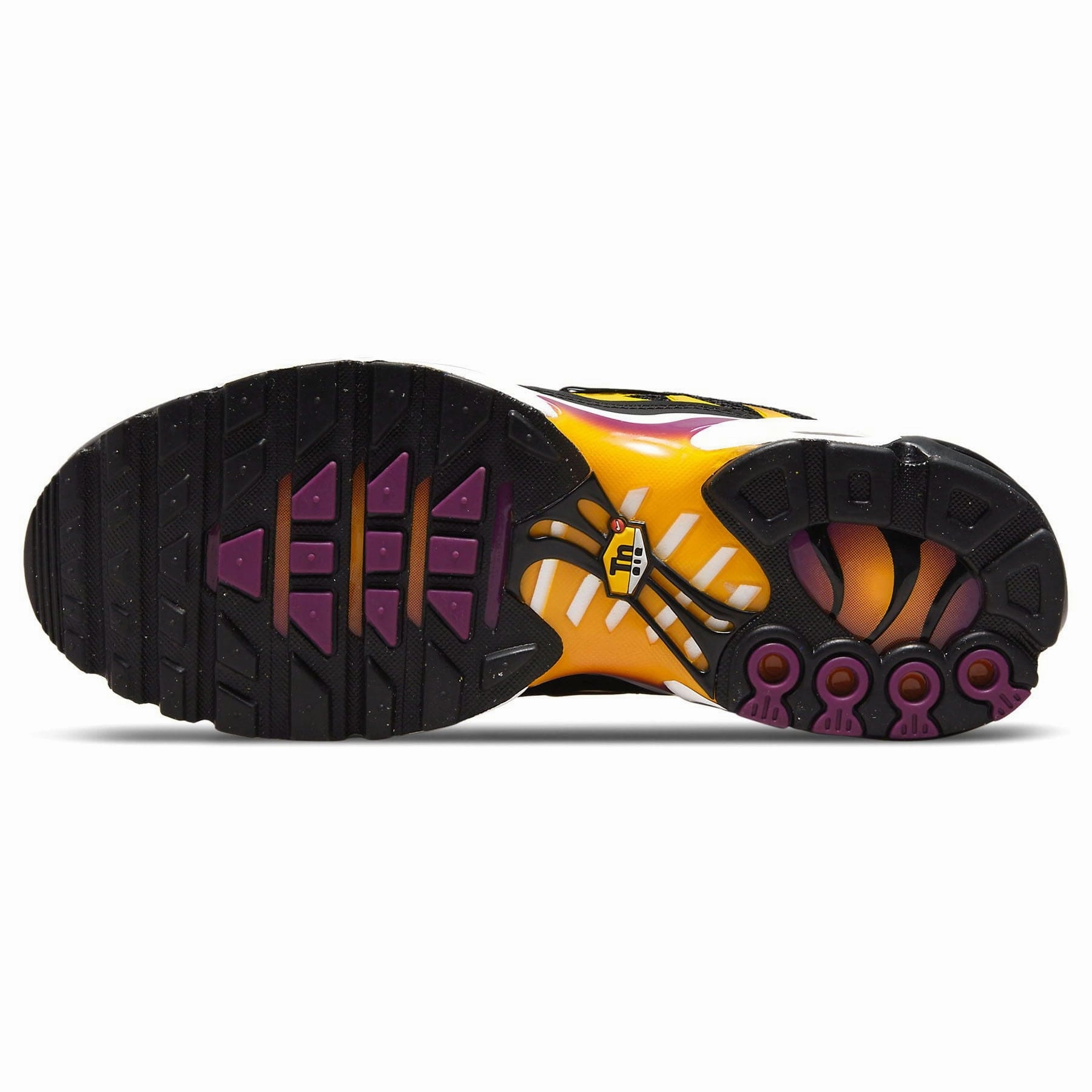 Nike Air Max Plus 'Black University Gold Viotech' Max Plus collection
