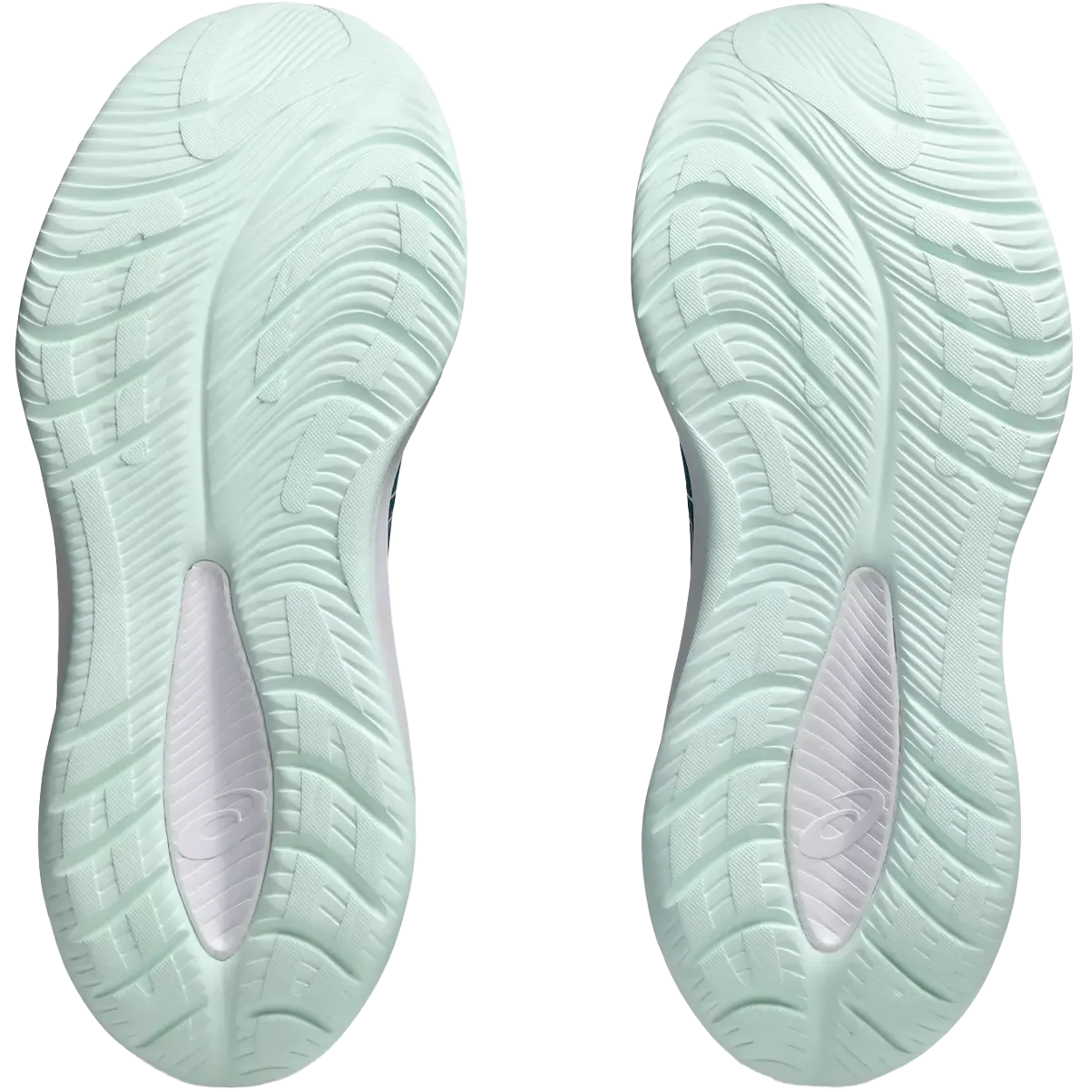 Women's Cumulus 26 Asics Shoes