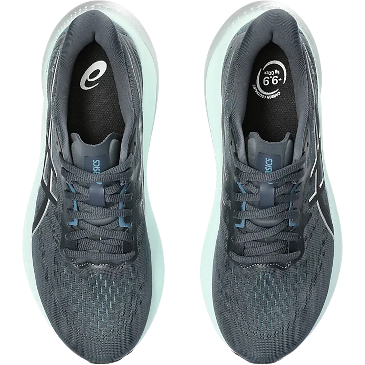 Women's GT-2000 12 Wide Asics Shoes